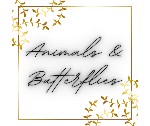 Animals & Butterflies